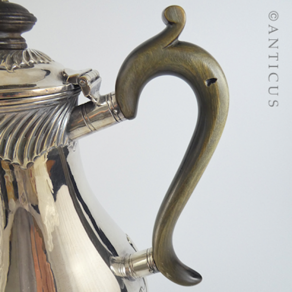 Victorian Elegant Hot Water Jug.