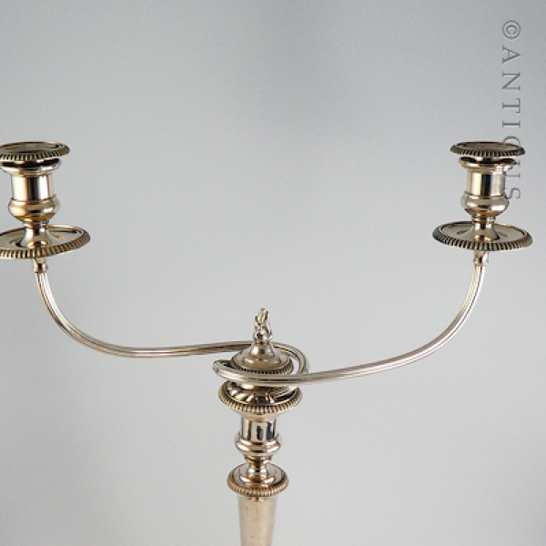 Candelabrum, Two Branch, Old Sheffield Plate.