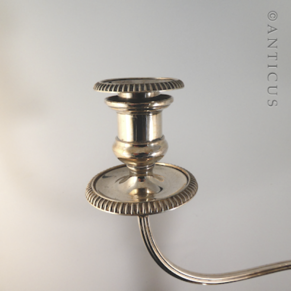 Candelabrum, Two Branch, Old Sheffield Plate.