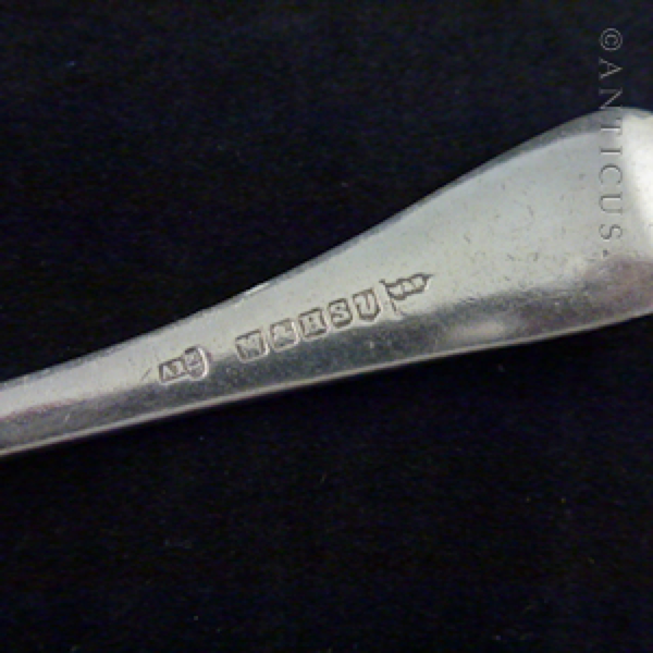 Northern Steamship Company Sauce Ladle.