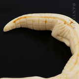 Pair of Carved Ivory African Crocodiles.