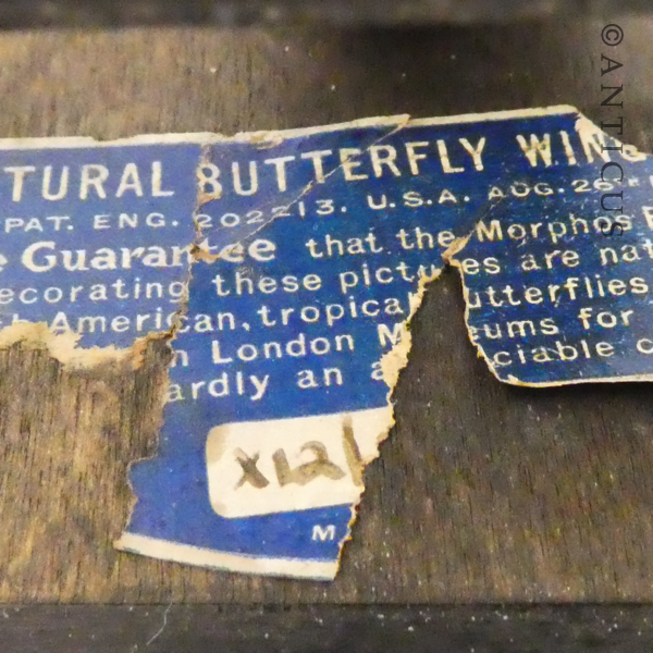 Art Deco Small Butterfly Wing Picture, Pierrot and Lady.