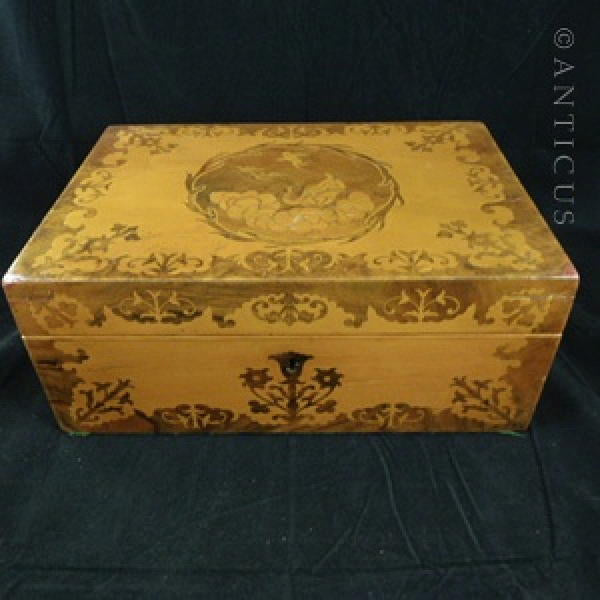 Marquetry Box, 19th Century, Sycamore Wood.