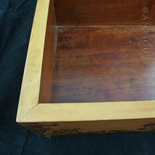 Marquetry Box, 19th Century, Sycamore Wood.