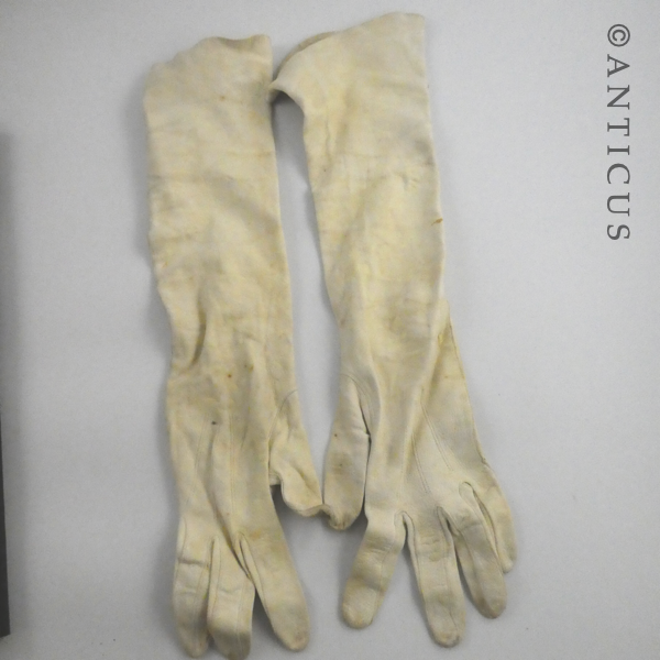 Ball Gown Length Kid Gloves.