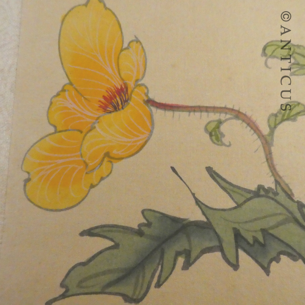 Oriental Picture of Poppies, Painted on Silk