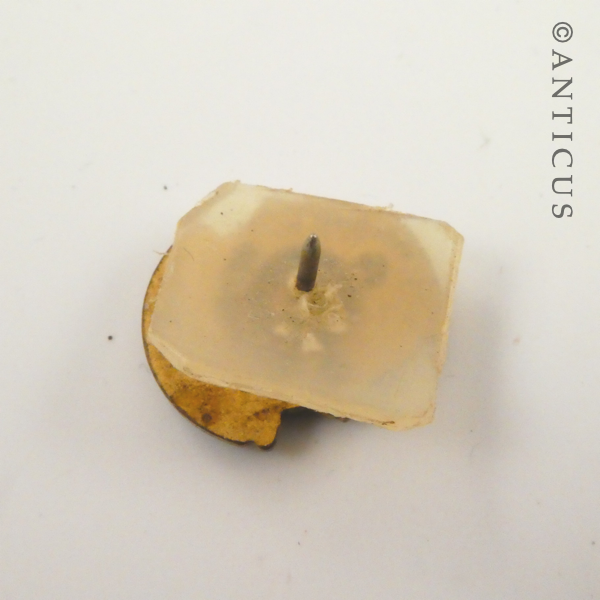 Charter Member Lions Club Badge