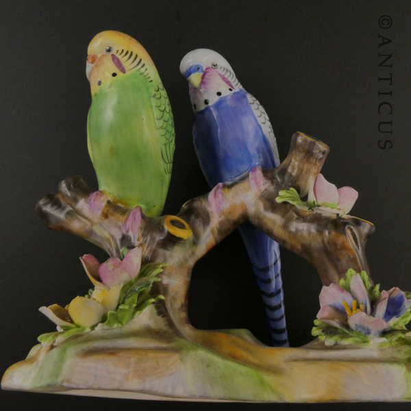 Adderley Budgies Figurine, Bone China.