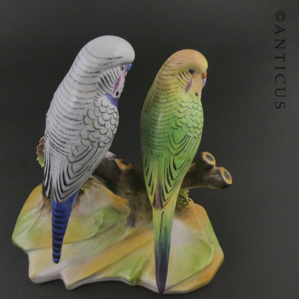 Adderley Budgies Figurine, Bone China.