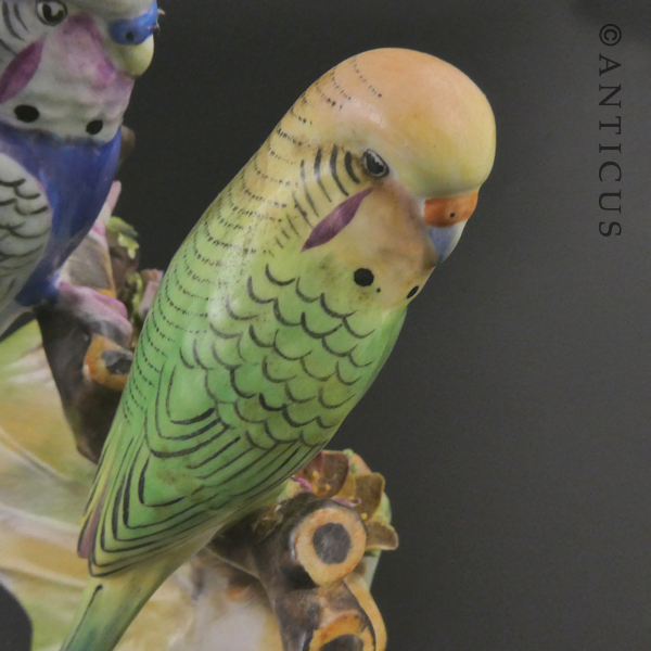 Adderley Budgies Figurine, Bone China.