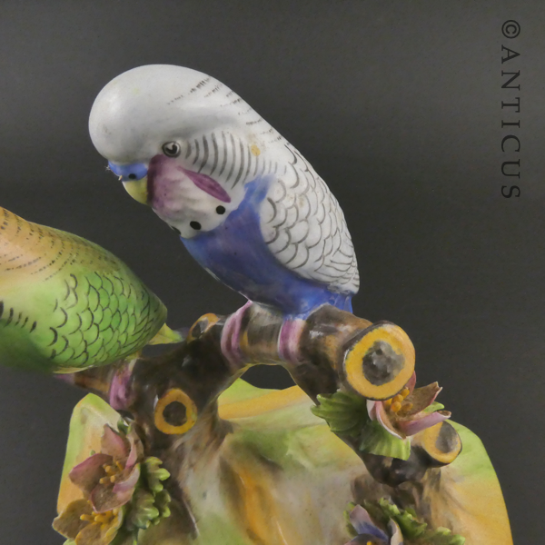 Adderley Budgies Figurine, Bone China.