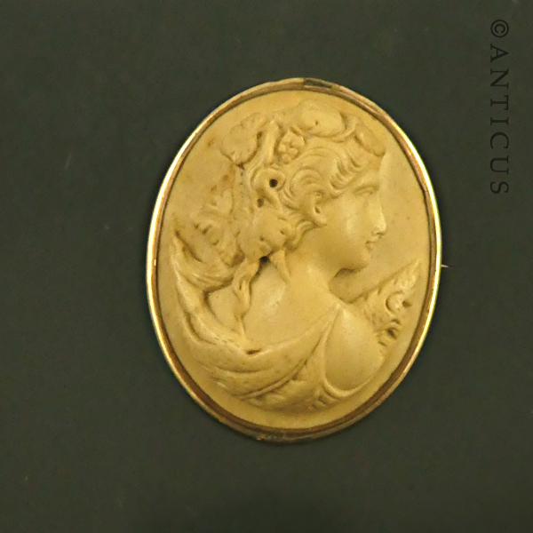 19th Century Lava Cameo Brooch, Gold Frame.