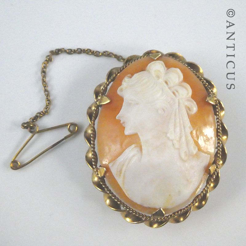 Vintage Cameo in Gold Mount.
