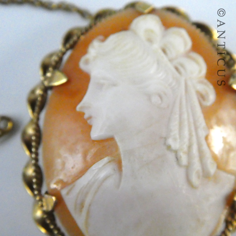 Vintage Cameo in Gold Mount.