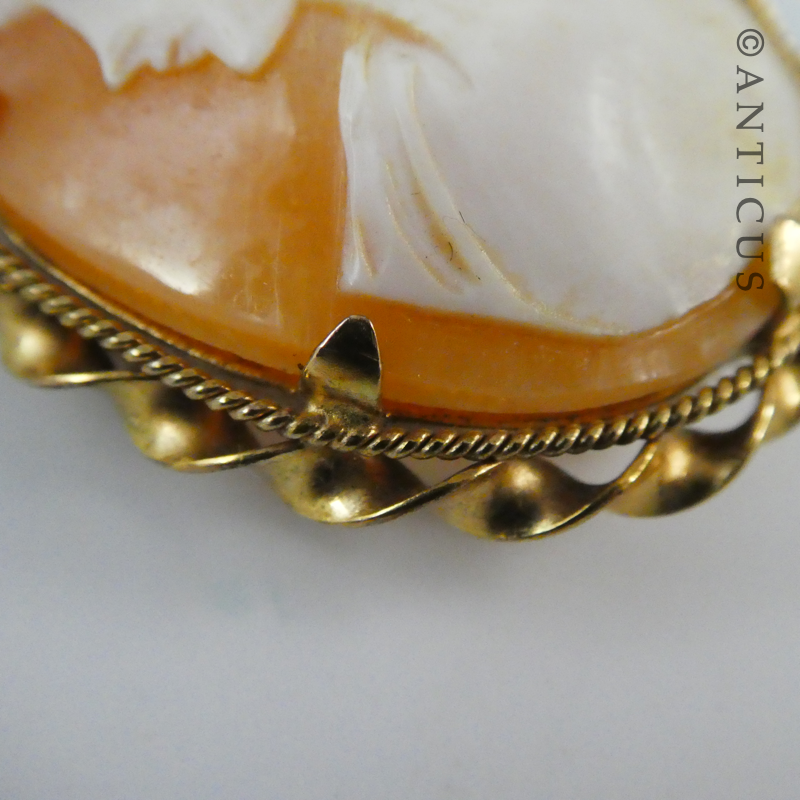 Vintage Cameo in Gold Mount.