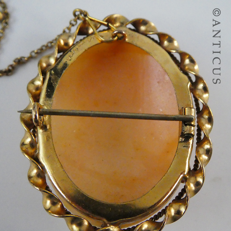 Vintage Cameo in Gold Mount.