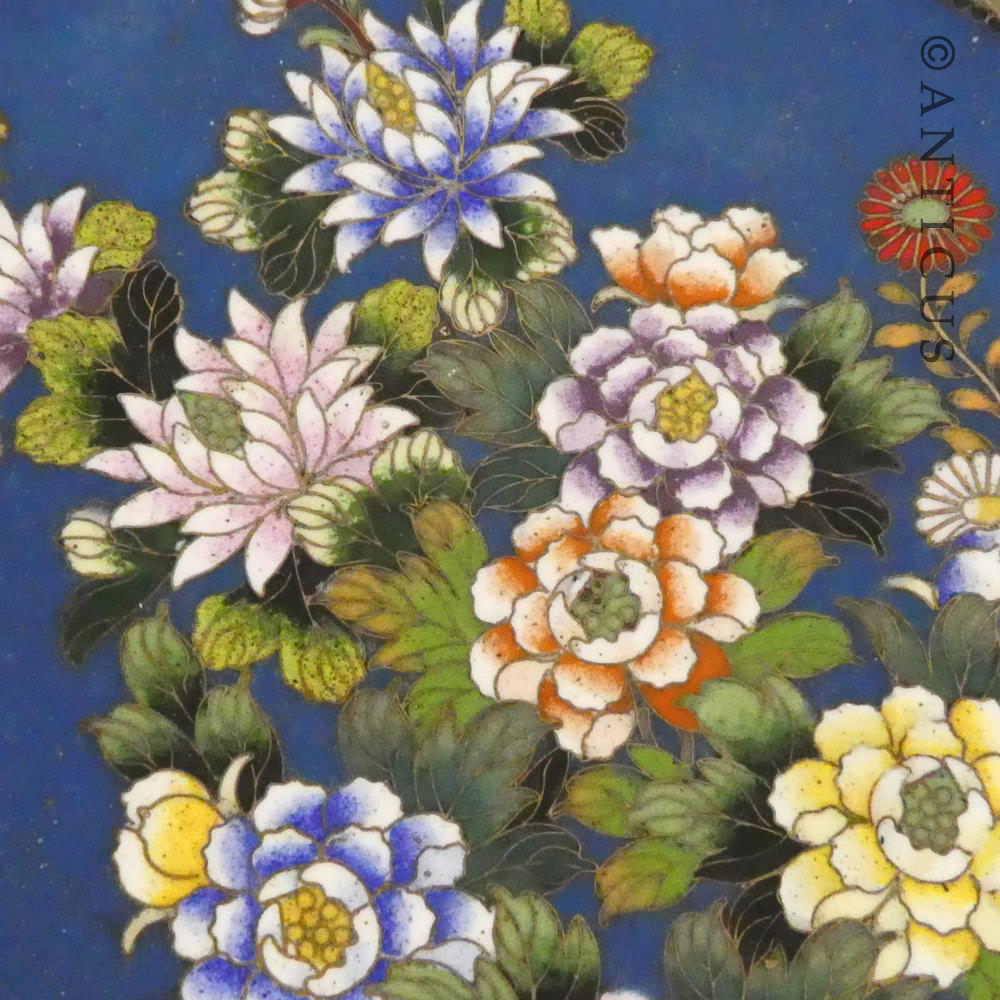 Fine Quality Cloisonné Plate, Floral Design.