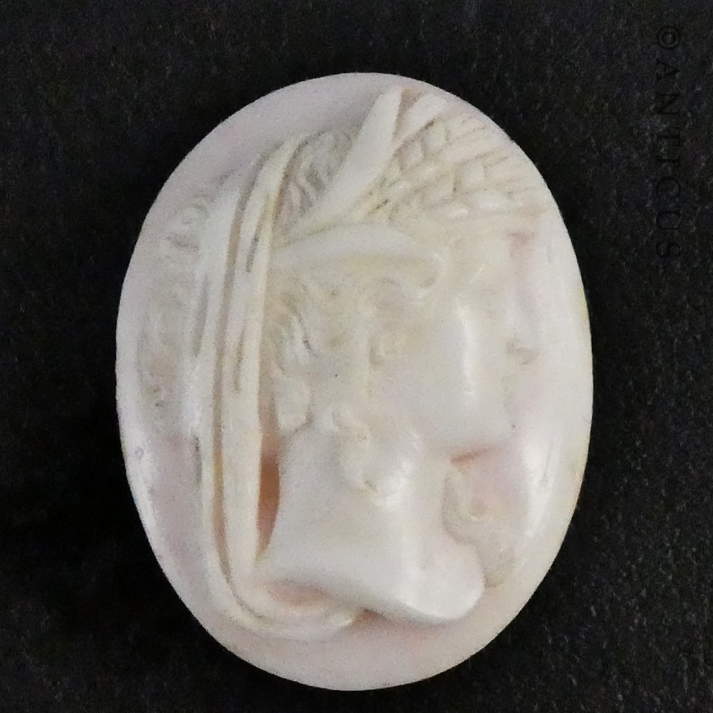 Unset Shell Cameo, Woman with Head Dress.