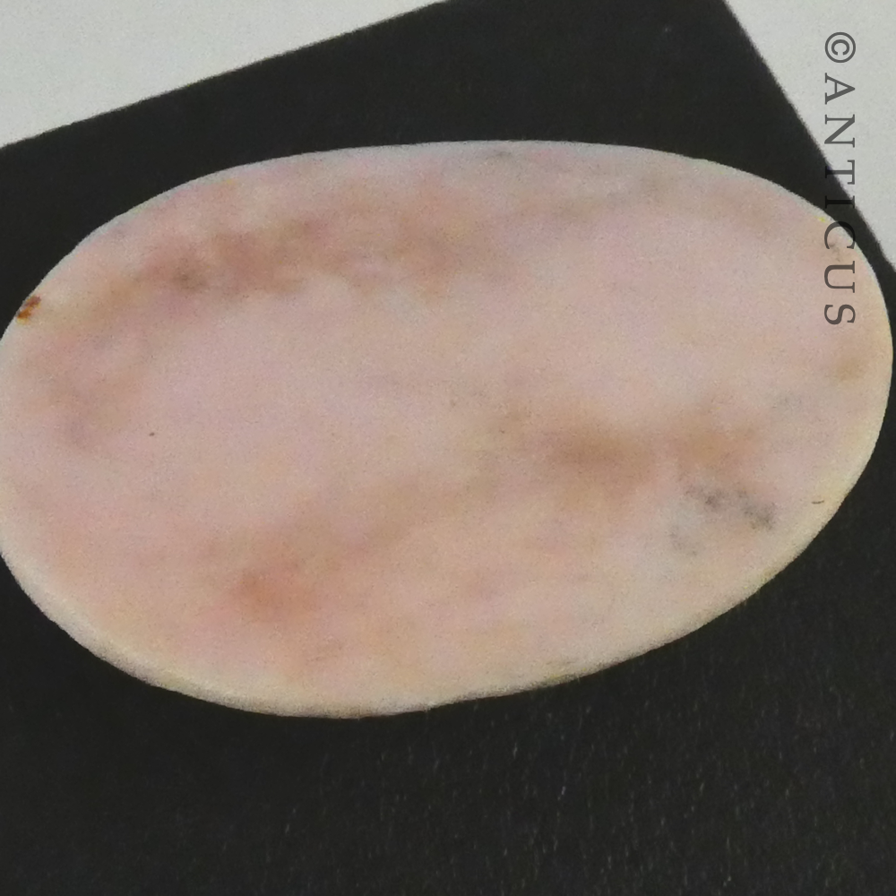 Unset Shell Cameo, Woman's Head.