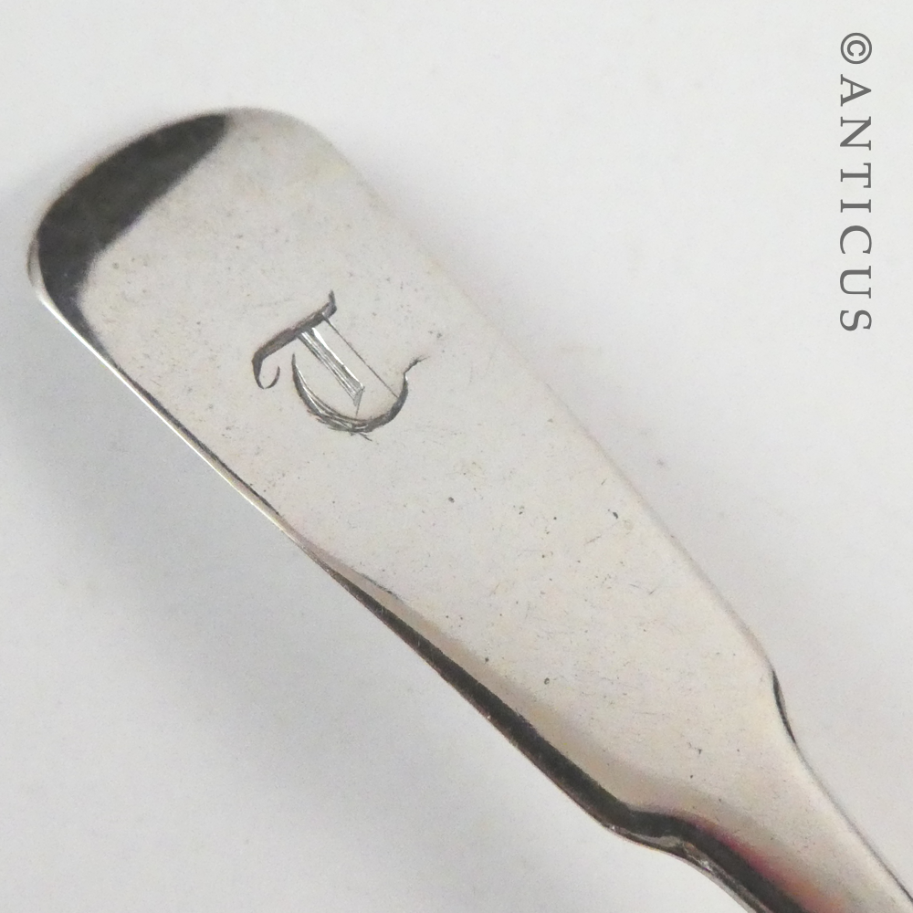 Pair Scottish Georgian Period Silver Mustard Spoons.