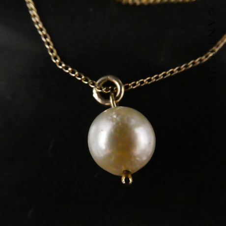 Pendant: Pearl on Gold Chain.