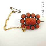 Antique Coral and Gold Brooch.