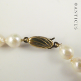 Pearl Necklace with Silver Gilt Clasp.