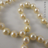 Cultured Pearls Necklace with Silver Clasp.