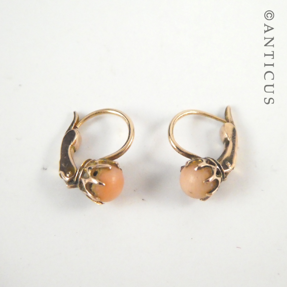 Pair of Gold and Coral Earrings.