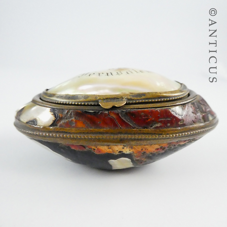 Antique Mother of Pearl Shell Souvenir Box.