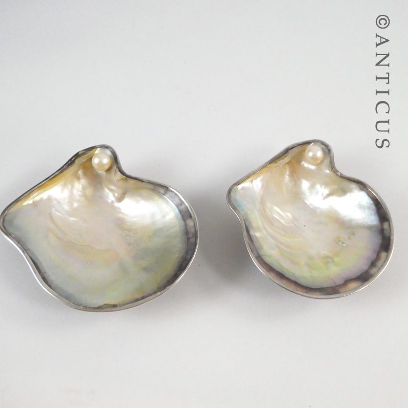 Pair of Silver and Mother of Pearl Salt Dshes.