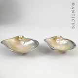 Pair of Silver and Mother of Pearl Salt Dshes.