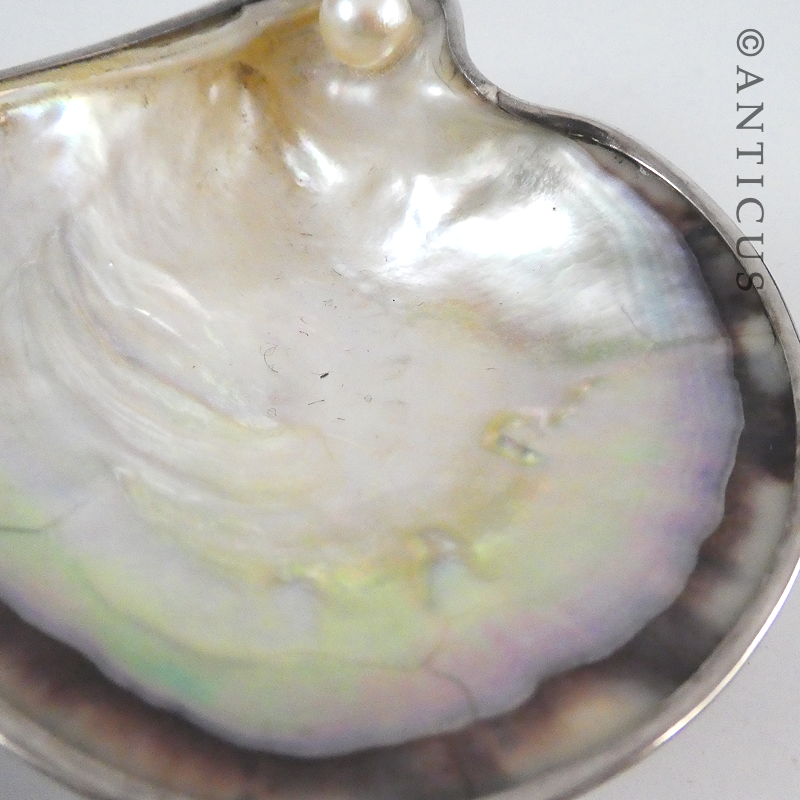 Pair of Silver and Mother of Pearl Salt Dshes.