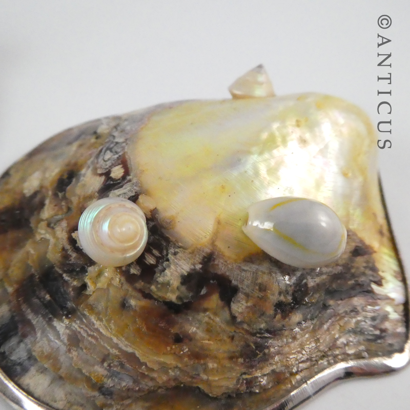 Pair of Silver and Mother of Pearl Salt Dshes.