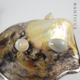 Pair of Silver and Mother of Pearl Salt Dshes.