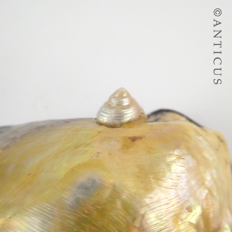 Pair of Silver and Mother of Pearl Salt Dshes.