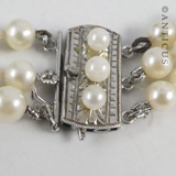Three Strand Cultured Pearl Choker Necklace.