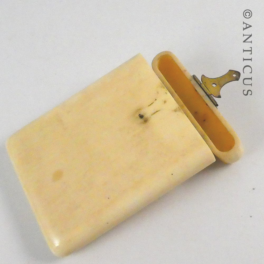 Antique Card Case.