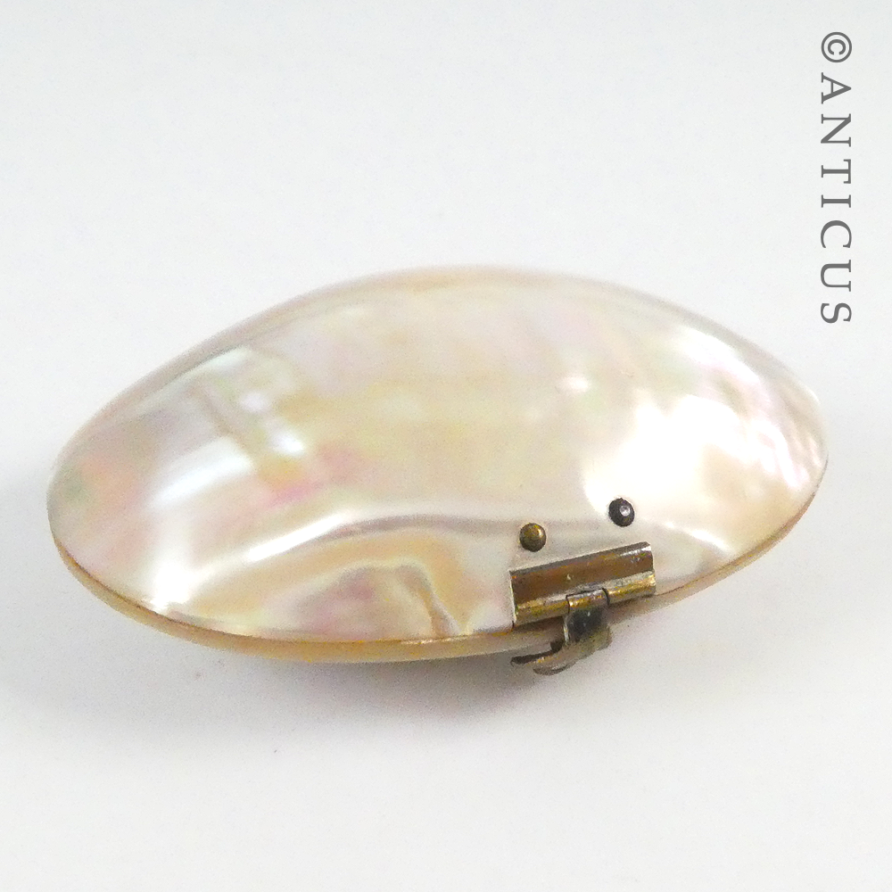 Little Mother of Pearl Shell Trinket Box.