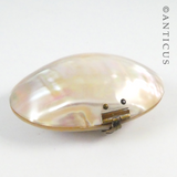 Little Mother of Pearl Shell Trinket Box.