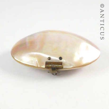 Little Mother of Pearl Shell Trinket Box.