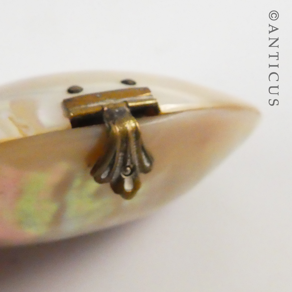 Little Mother of Pearl Shell Trinket Box.