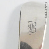 Two Victorian Salt Spoons.