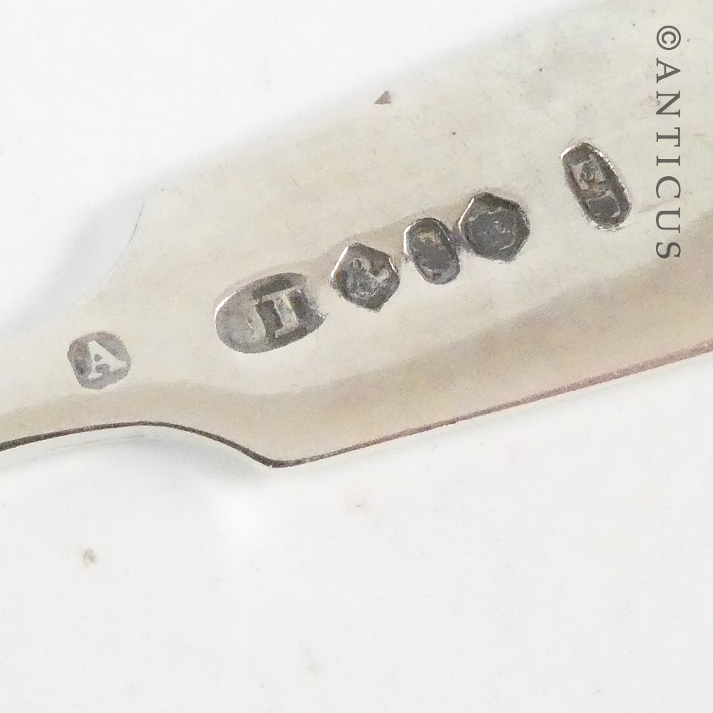 Two Victorian Salt Spoons.