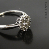 White Gold and Diamond Cluster Ring.