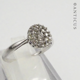 White Gold and Diamond Cluster Ring.