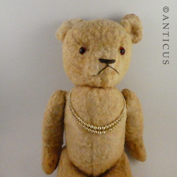 Vintage Teddy Bear