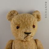 Vintage Teddy Bear