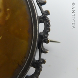 Victorian Photo Brooch.