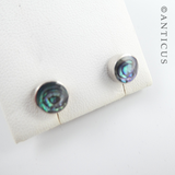 Small Silver and Paua Shell Stud Earrings.